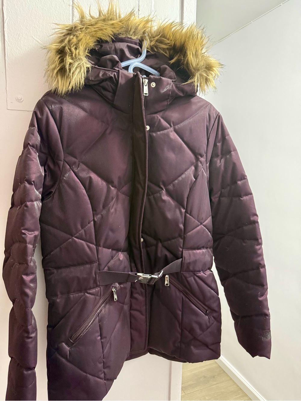 The North Face Women's Quilted Puffer Coat with Faux Fur Hood - Plum